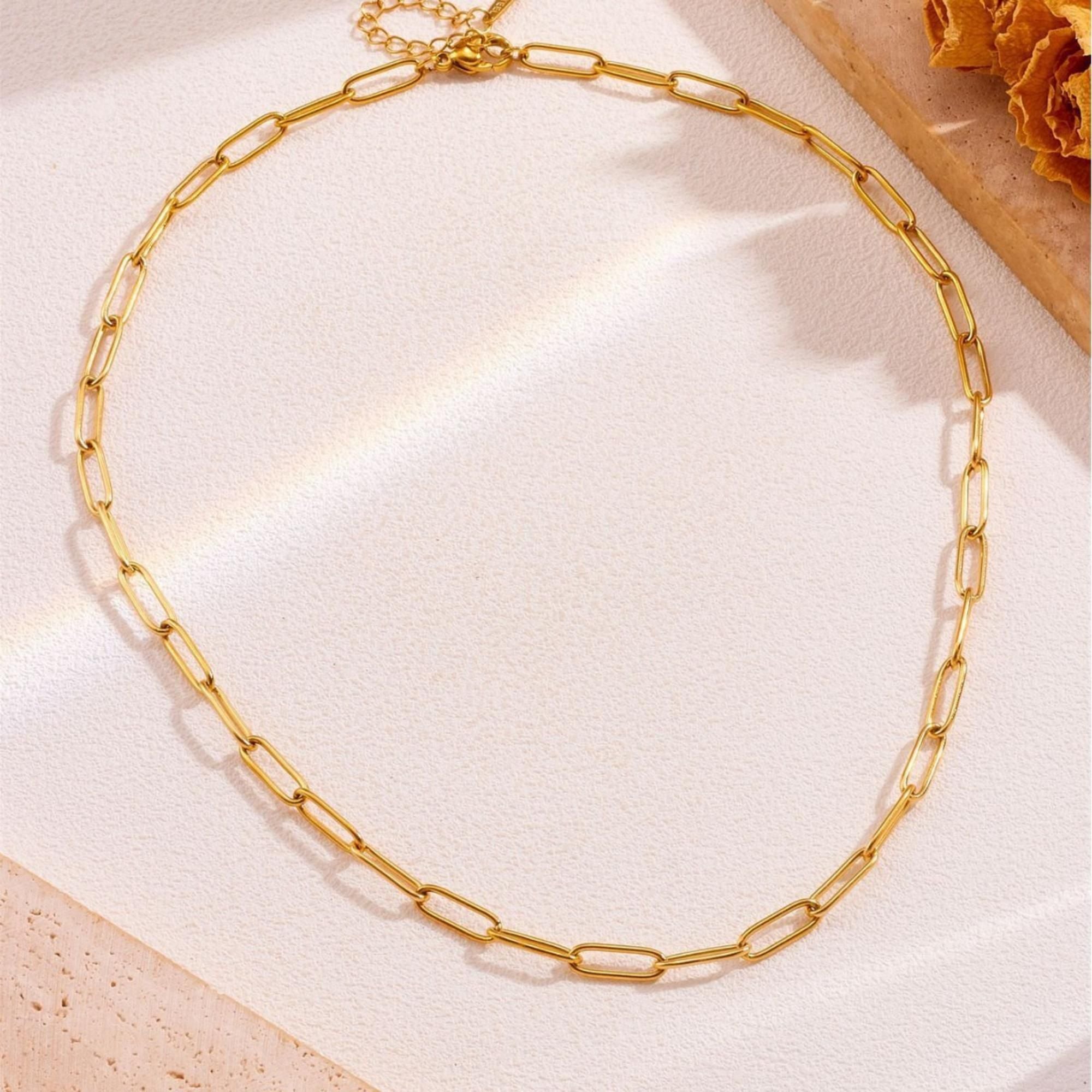 MYKI Link Necklace (MK839-SSYI)